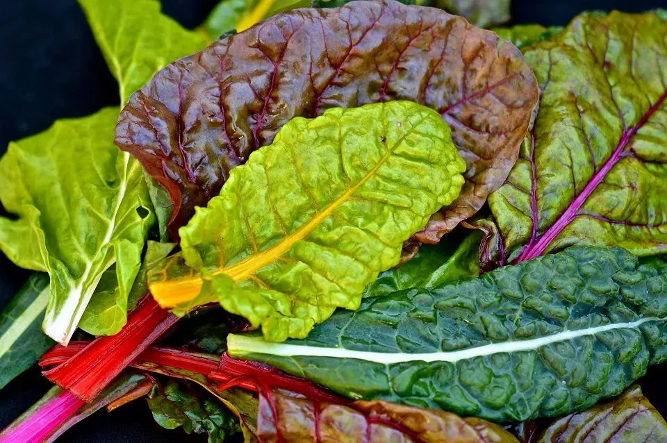 Leafy Greens